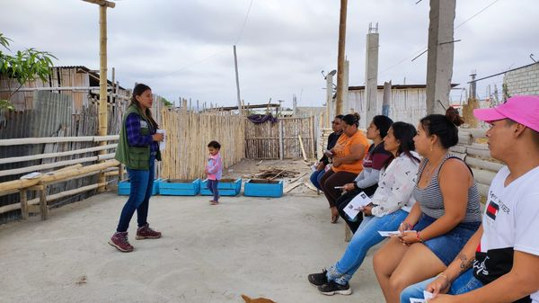 Cosecha de pepinos y nuevas familias en Huertos Comunitarios de Playas