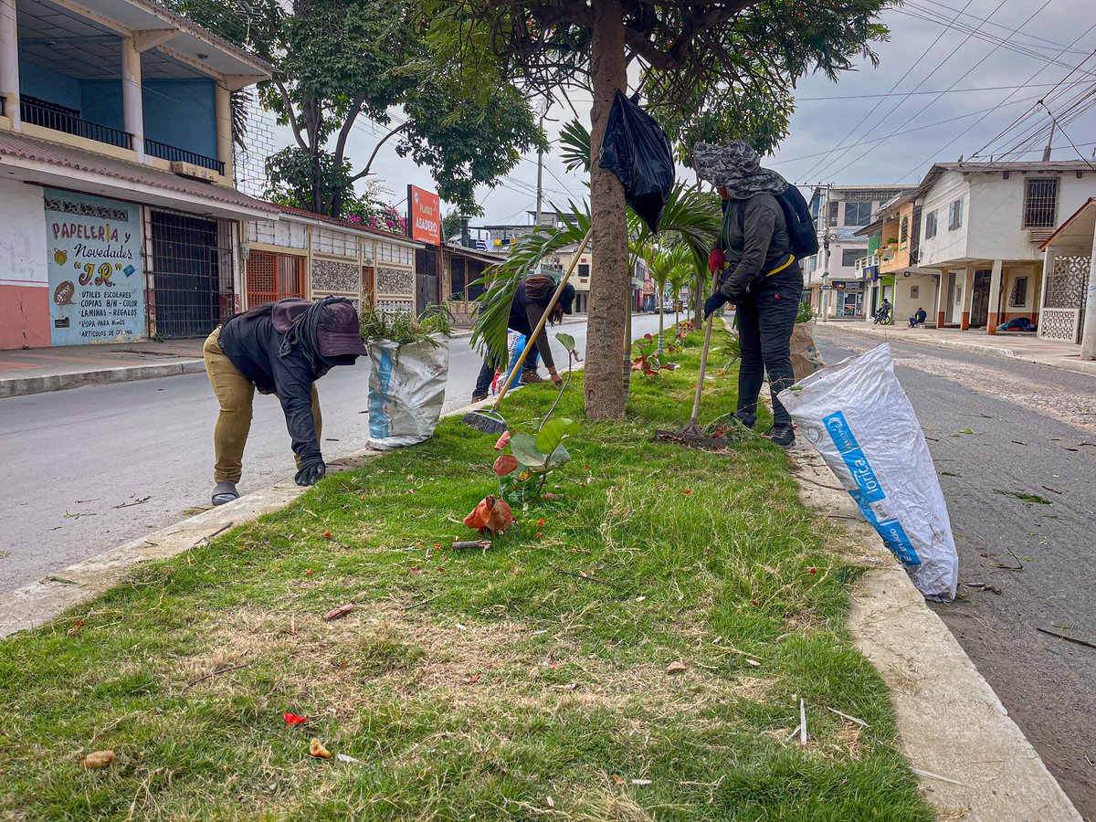 Alcaldía de Playas mantiene áreas verdes en Av. Pedro Menéndez