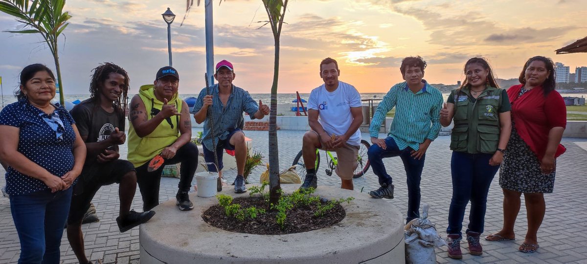 Dirección de Gestión Ambiental de Playas siembra especies nativas en el Malecón