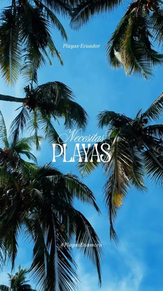 Playas reabre sus puertas con el mejor clima: así viene la temporada turística